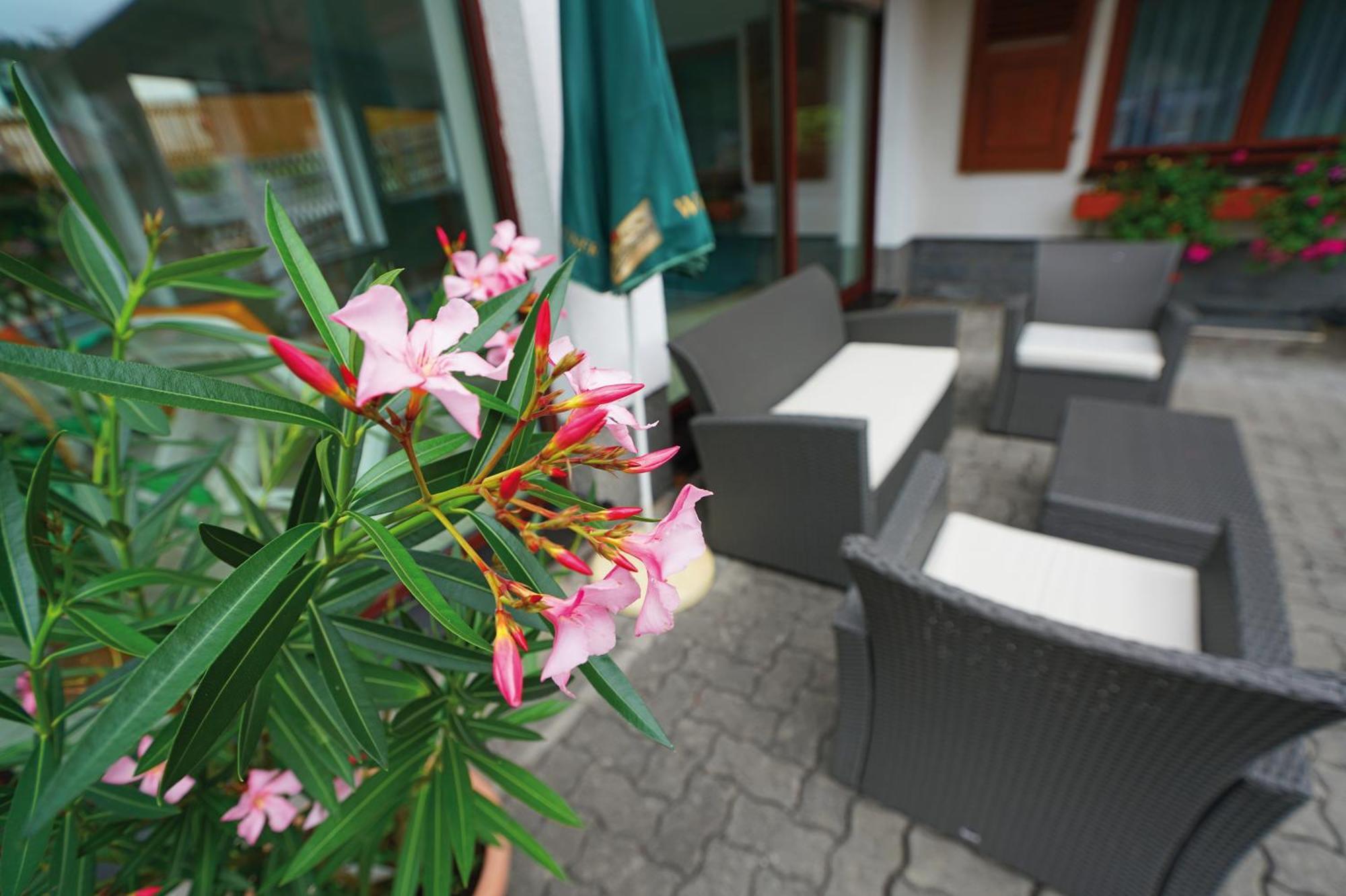 Landhotel Gasthof Zwota Klingenthal Eksteriør bilde