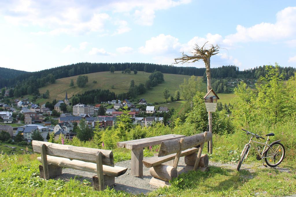 Landhotel Gasthof Zwota Klingenthal Eksteriør bilde